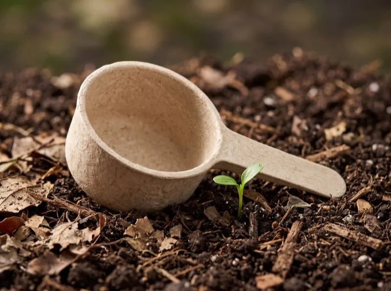 Scoop de fibra vegetal sobre composta con un brote a un lado