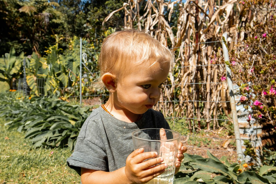 Niño pequeño tomando de su vaso en el jardín
